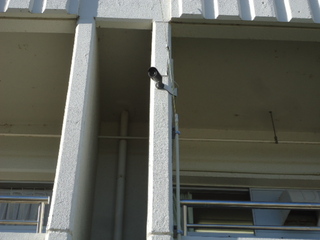 DSC020830817.JPG