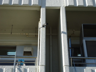 DSC020860817.JPG