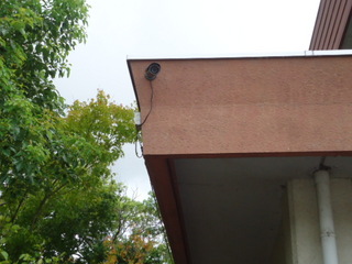 DSC020990824.JPG