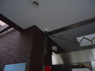 DSC037680727.JPG