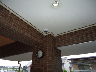 DSC037690727.JPG