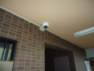 DSC037700727.JPG