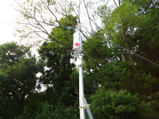 DSC037910806.JPG