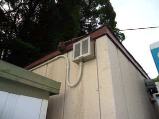 DSC037930806.JPG