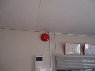DSC063780801.JPG