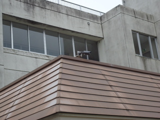 DSC064420820.JPG