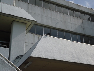 DSC065220823.JPG