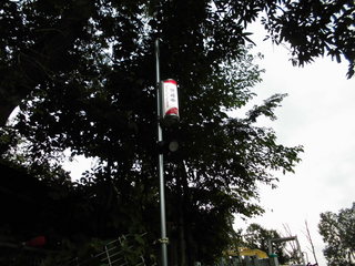 CIMG22020906.JPG