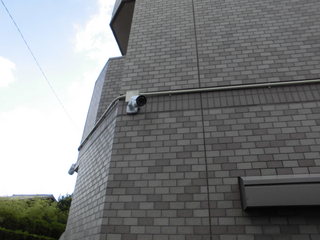 CIMG22060908.JPG
