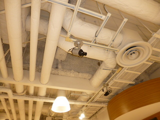 P10803560928.JPG