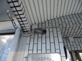 CIMG23311005.JPG
