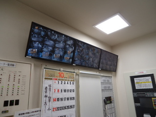 DSC065811022.JPG