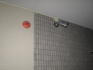 IMG_4746.JPG