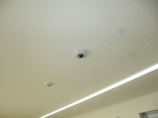 P10804541114.JPG