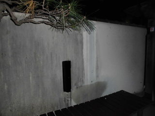 CIMG24431211.JPG