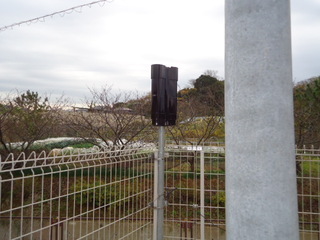 DSC024011211.JPG