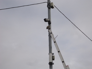 DSC024031211.JPG