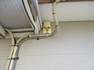 IMG_4829.JPGのサムネール画像