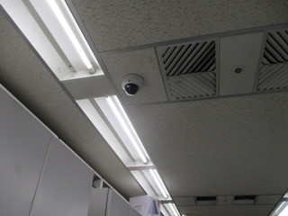IMG_4845.JPG