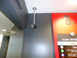 DSC025010125.JPG