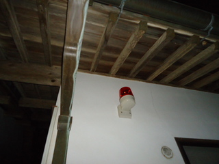 DSC067031213.JPG