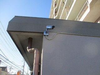 IMG_5004.JPG