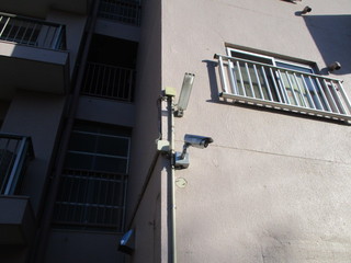 IMG_5006.JPG