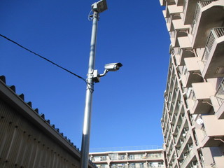 IMG_5008.JPG