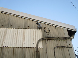 IMG_5090.JPG