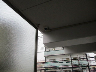 IMG_5275.JPG