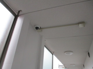 IMG_5276.JPG
