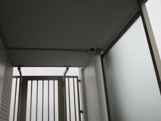 IMG_5277.JPG