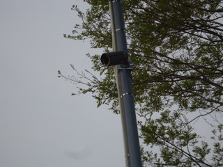 DSC027620419.JPGのサムネール画像
