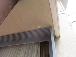 IMG_5460.JPG
