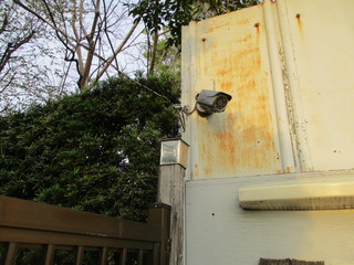 IMG_5466.JPG