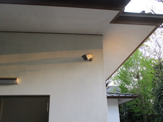 IMG_5472.JPG