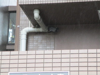 IMG_5638.JPG