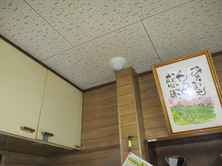 IMG_5772.JPG