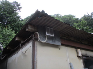 IMG_5787.JPG