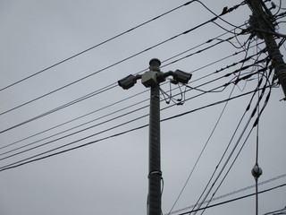 IMG_5831.JPG