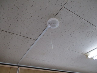 IMG_6133.JPGのサムネール画像