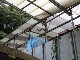 IMG_6147.JPGのサムネール画像
