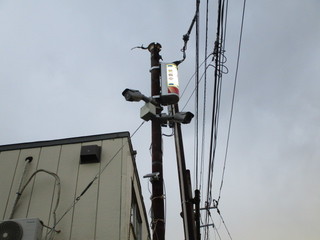 IMG_6193.JPGのサムネール画像