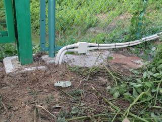 IMG_6231.JPGのサムネール画像