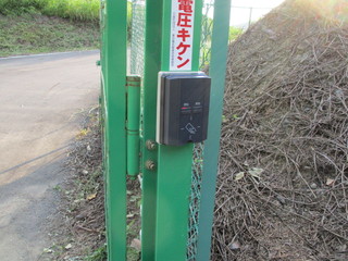 IMG_6234.JPGのサムネール画像