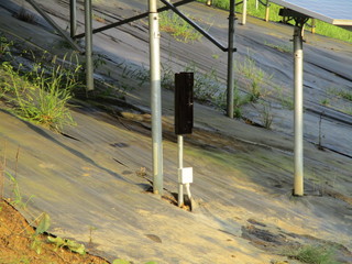 IMG_6238.JPGのサムネール画像