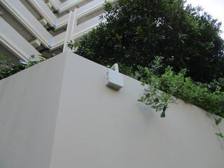 IMG_6332.JPGのサムネール画像