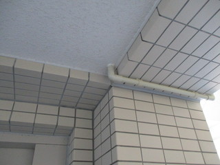 IMG_6334.JPGのサムネール画像
