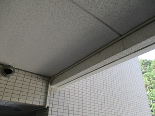IMG_6335.JPGのサムネール画像