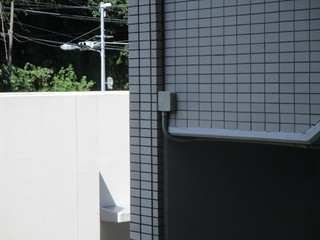 IMG_6336.JPGのサムネール画像